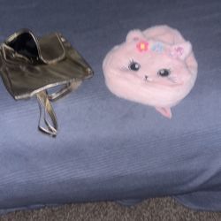 1bag And 1 Backpack Never Used