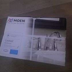 Moen Faucet