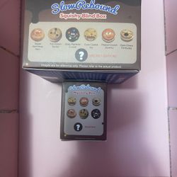 Jumbo Cookie 🍪 Squishy Blind Box 