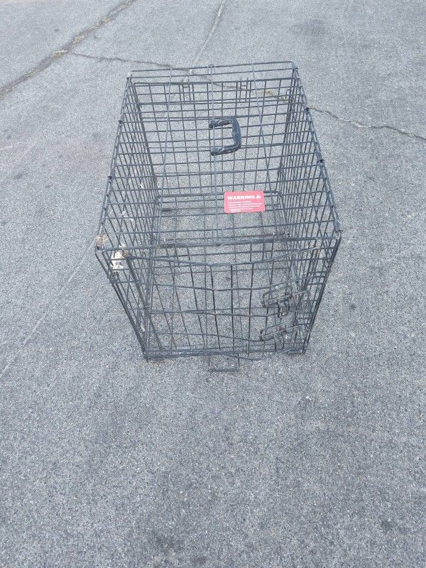 Bird Cage 