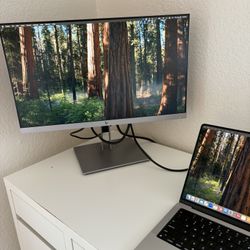 HP monitor