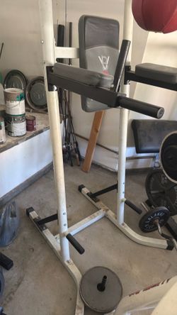 Body Vision Dip and Knee Raise Station