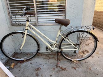 Adult Schwinn Bike