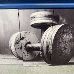 Dumbbell Fitness Canvas Artwork