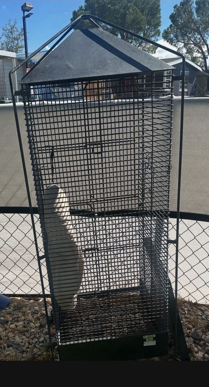 Tall Bird Cage $40 