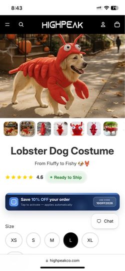 Dog costume  Large