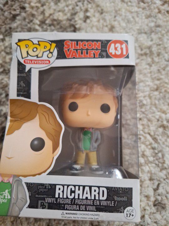 Richard From Silicon Valley
