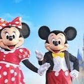 Disney All Four Parks Universal Parks Come Experience Them In Christmas Airbnb Packages Too With Parks!!