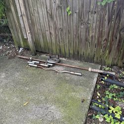 Curl Bars