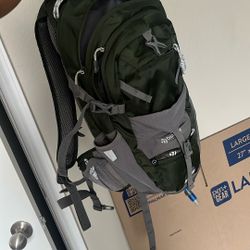 Green Hiking Backpack 