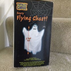 Scary Flying Ghost
