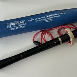 Recorder/Flute