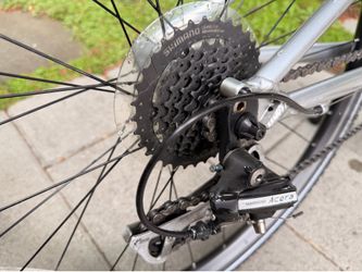 Felt Bicycle Verza Path 40