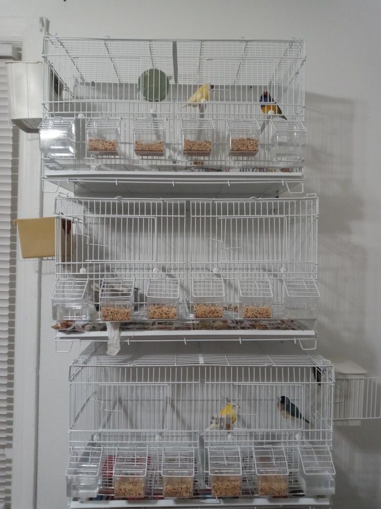 Cages