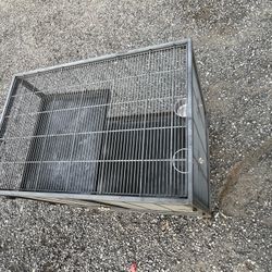 Birds Cage 