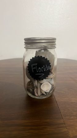 Florida sea shells