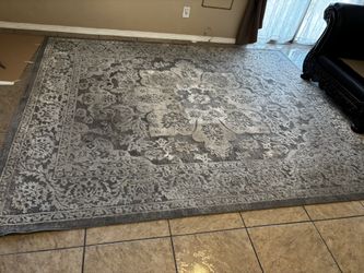 Large Grey Carpet