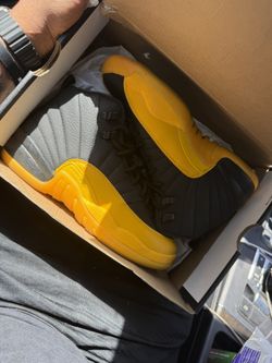 Jordan 12s 
