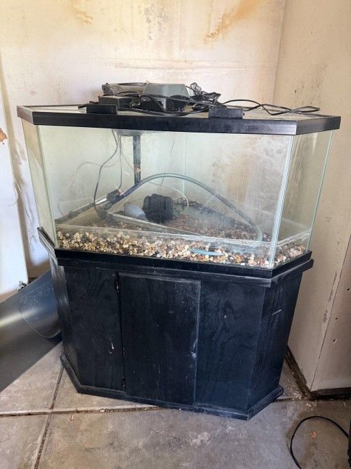 60 Gallon Fish Tank