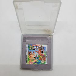 Adventure Island Hudson Soft Nintendo 