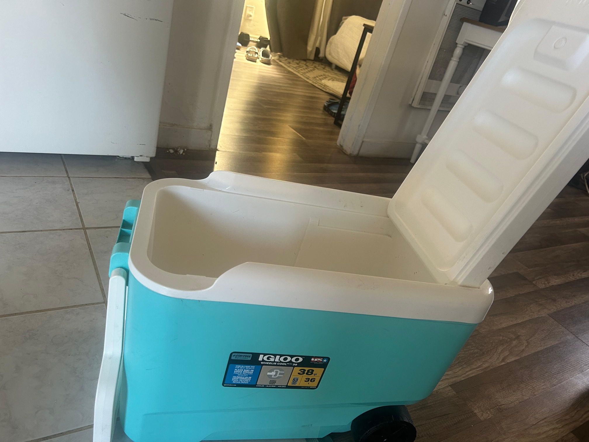 Igloo Cooler 