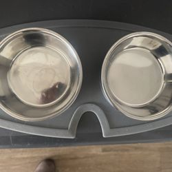 Dog Bowls