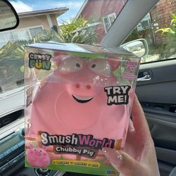 CHUBBY PIG SQUISH from FiveBelow