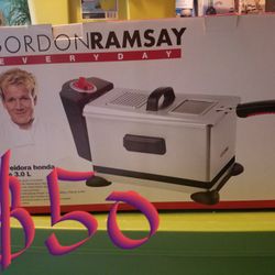Gordon Ramsay Fryer