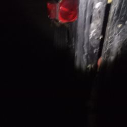 Hauling Trailer 