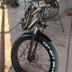 Super Cruiser Bike 750w 