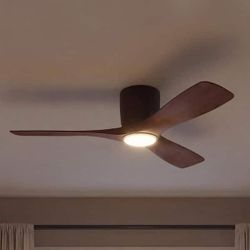 Ceiling Fan