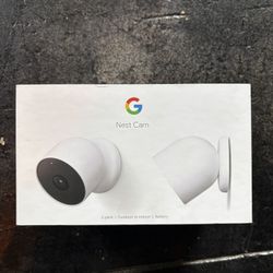 Google Home Cameras 