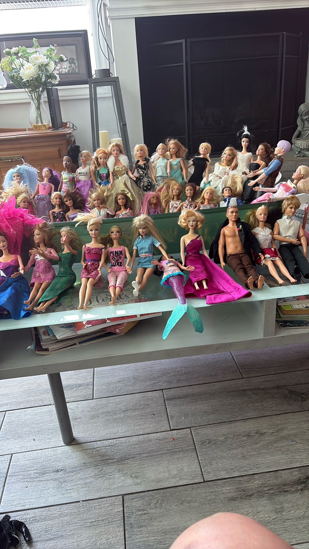 Barbie Dolls And Clothes And Accessories