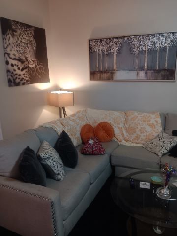 Light Grey Sectional