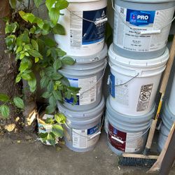 paint Cheap Price
