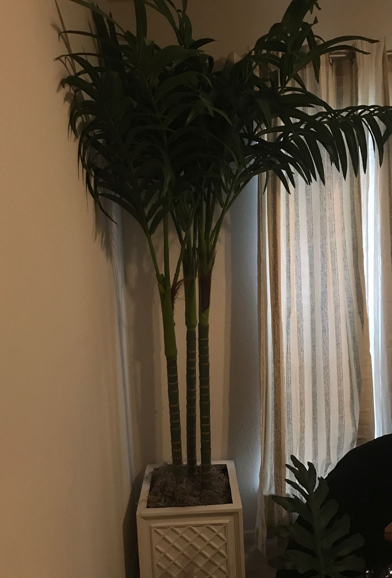 Fake House Plant OBO