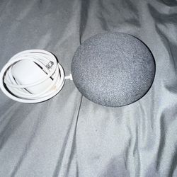 Google Nest Mini
