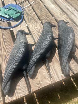 Three black crows
