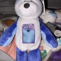 All 50 State Coin Bears