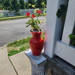 Flower Arangments & Yard Items ..all Pixs For Only $65