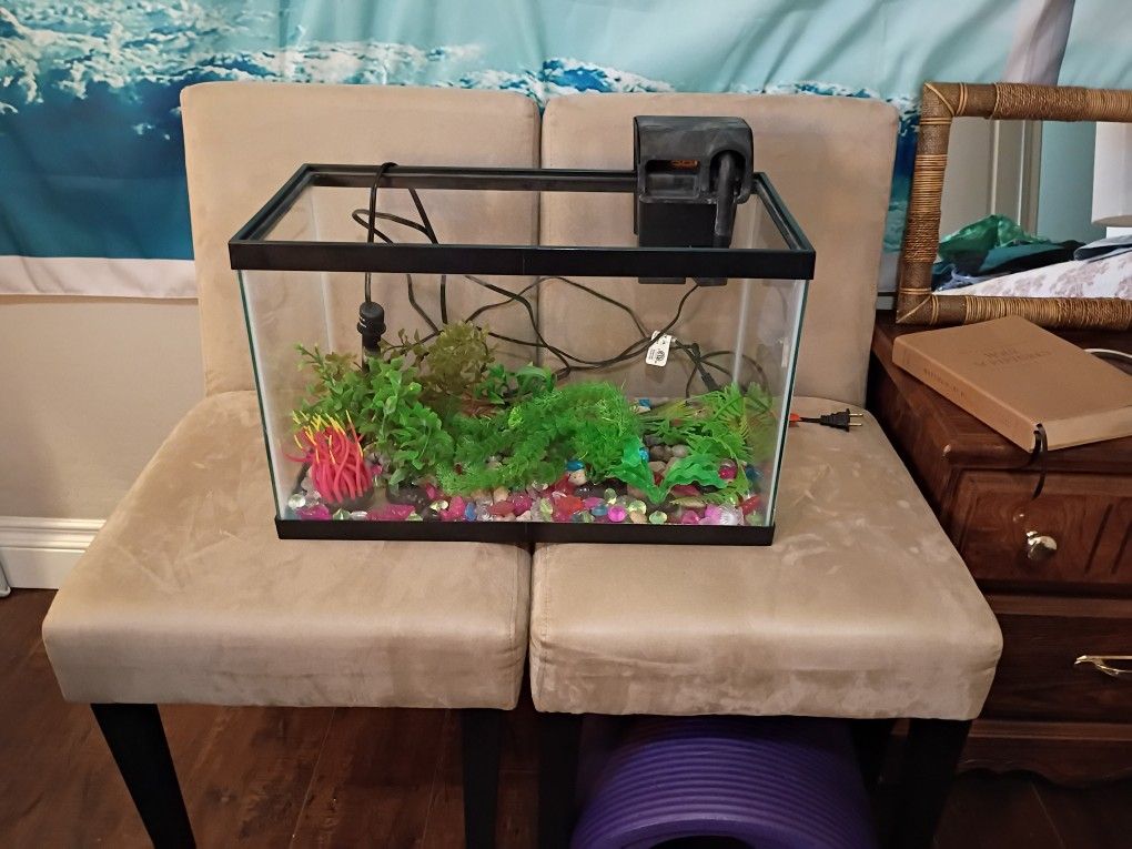 Great 10 Gallon Aquarium Starter Kit