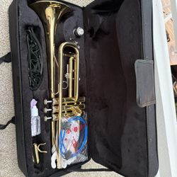 NEW Eavnbaek Trumpet!! 
