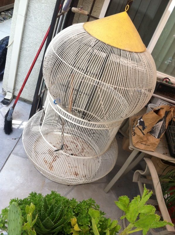 Huge Bird Cage