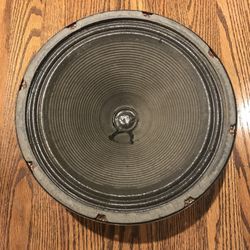 Vintage Fender Twin Reverb Speakers