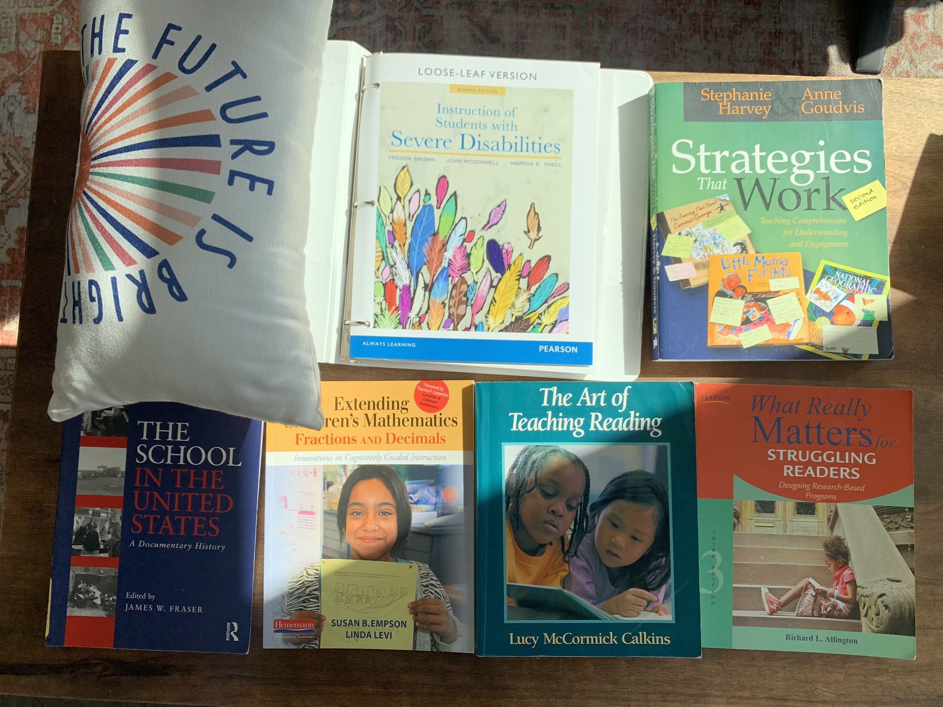 Teacher Bundle! Textbooks, Classroom Throw Pillow