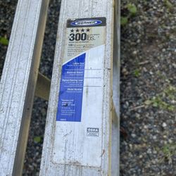 Werner 14 Foot Step Ladder - $125