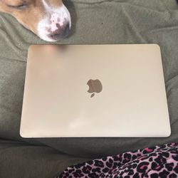 Apple Laptop 