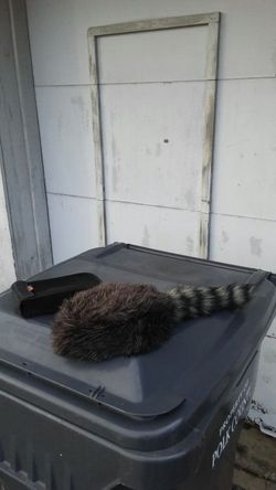 Small. Kids. Racoon. Hat. - negotiable