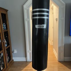 Stand Up Punching Bag 