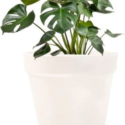 Flower Pot, 6 inch Plastic Planter, for Tabletop Plant & Hanging Planter - Pack of 2 Pots White, Black, Gray